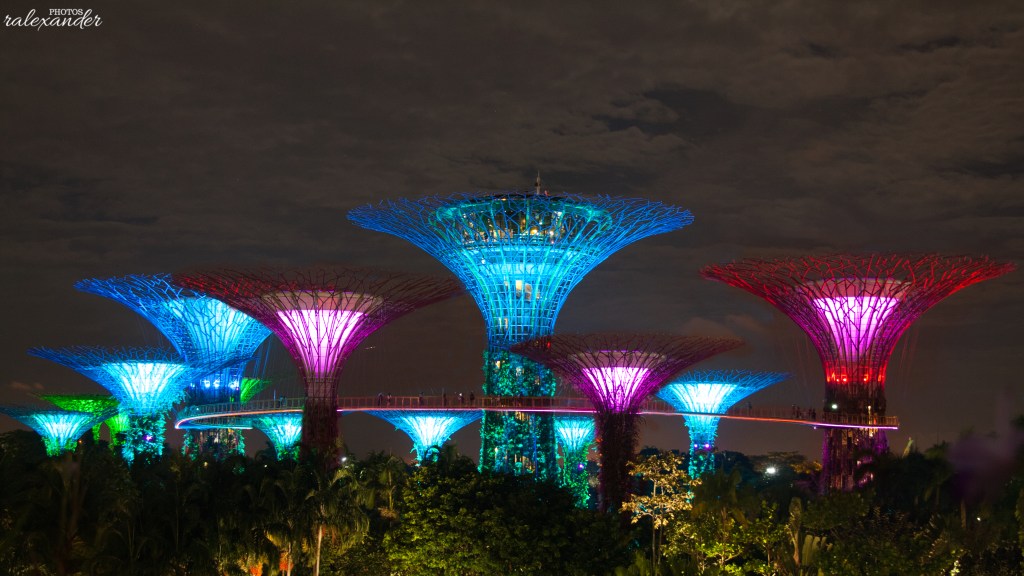 "Supertree grove in gardens by the bay" by ralexander_photos is marked with CC0 1.0.